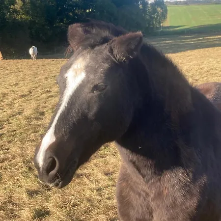 Lieblingsplatz Lissberg Ortenberg (Hessen)