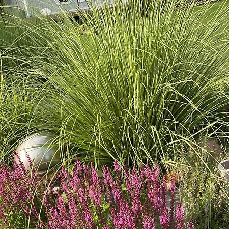 Lieblingsplatz Lissberg