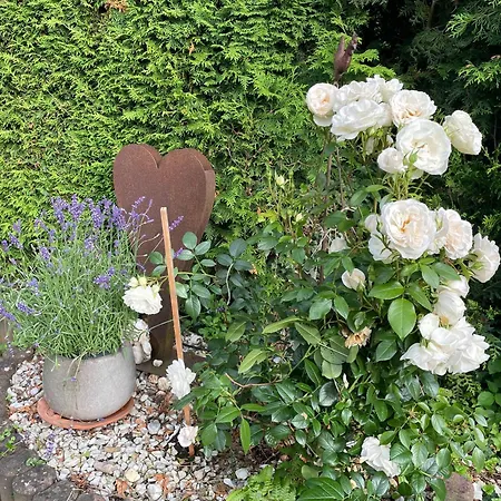 Lieblingsplatz Lissberg Ortenberg (Hessen)