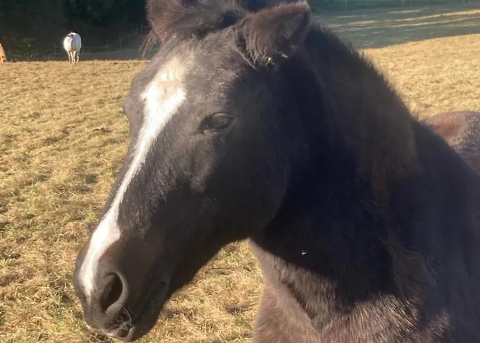 Lieblingsplatz Lissberg Ortenberg (Hessen)