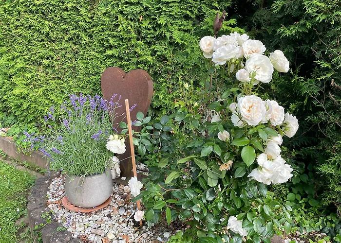 Lieblingsplatz Lissberg Ortenberg (Hessen)